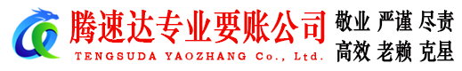 大观收账公司